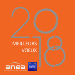 Voeux 2018-Carre-Expert-Auto-Anea